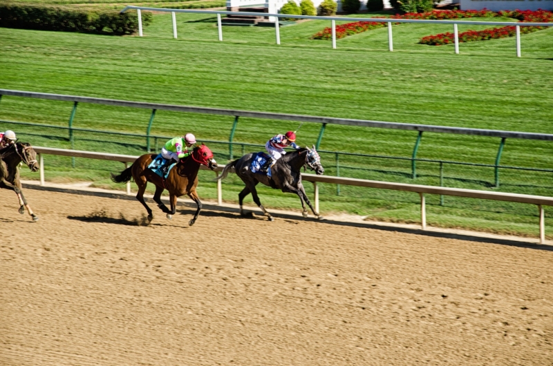 Bourbon Trail & Derby Training Camp